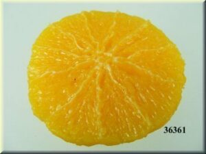 Apelsino riekelė