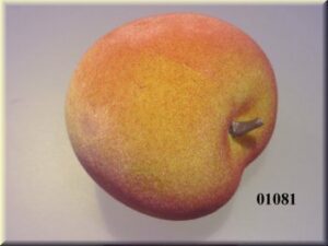 Dirbtinis persikas, 70mm