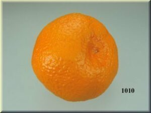Mandarinas Clementine