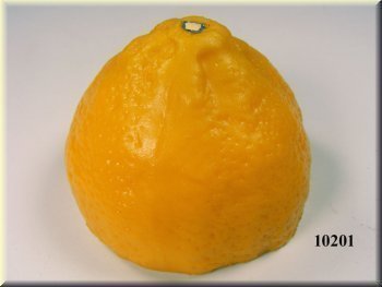 Geschnittene Zitrone