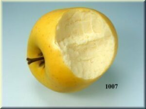 Prakąstas geltonas obuolys