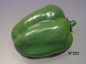 Paprika žalia