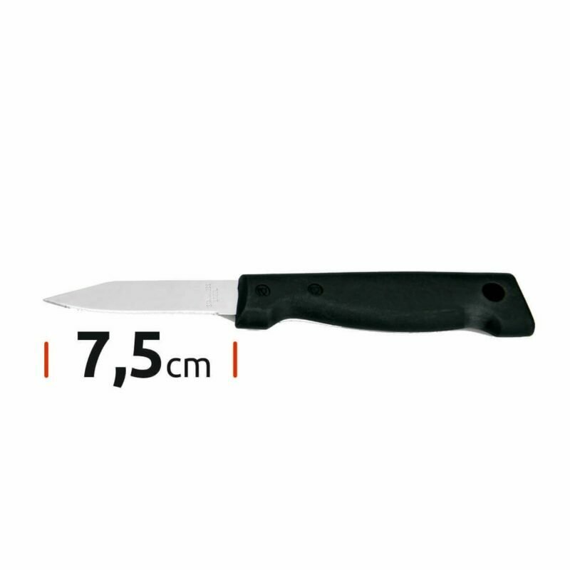 Knives for shaving, cleaning, with 7,5 cm long blade 6415075