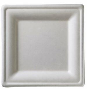 Square paper plates for serving