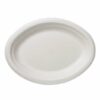 Oval paper plates