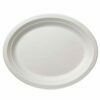 Oval paper plates