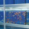 Supports en acier galvanisé pour aquariums