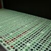Light green perforated shelf covers for cold rooms