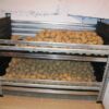 Racks for potatoes with perforated plastic shelves and side covers