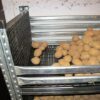 Racks for potatoes with perforated plastic shelves and side covers