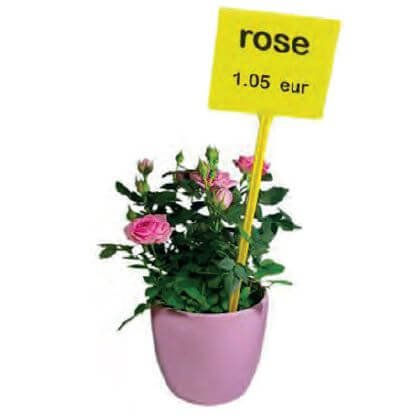 Cartes de prix à épingler pour fleurs et plantes