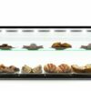 Rectangular display cases with a shelf