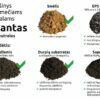 Soil mixture for perennial plants